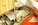020-buick-350-windage-tray.jpg