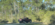 IMG_1393.png