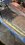 IMG_4495.jpeg