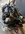 IMG_0296.jpeg