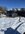 IMG_2937.jpeg
