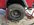 SaltedWheel_20240224.jpg