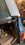 IMG_4502.jpeg