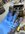 IMG_8412.jpeg