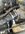 IMG_2057.jpeg