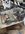 IMG_4928 Large.jpeg