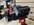 IMG_7691.jpeg