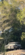 IMG_1731.png