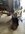 IMG_7827.jpeg
