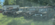 IMG_2022.png