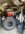 IMG_6238.jpeg