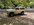 IMG_6851.jpeg