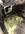 IMG_9292.jpeg