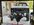 IMG_7750.jpeg