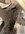 IMG_1833.jpeg