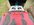 IMG_7773.jpeg