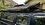 IMG_8122.jpeg