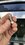 IMG_8113.jpeg