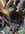 IMG_7059.jpeg