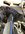 IMG_7693.jpeg