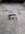 870C3ECC-6BFF-4C3F-B213-A4A296EB704D.jpeg
