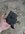 78638454-9760-428D-9A6D-DBAEA8A89666.jpeg