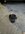 A91EF7B6-DA41-493A-B9B6-CF0DC30C3C7F.jpeg