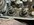 IMG_0334.jpeg