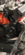 IMG_6361.png