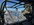 IMG_7940.jpeg