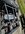 IMG_7942.jpeg
