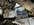 IMG_7944.jpeg