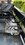 IMG_8170.jpeg