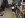 P1010011-shrunk.JPG