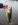 BASS_22DEC07_01_resize.JPG