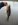 BASS_22DEC07_02_resize.JPG