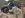 Dec 2007 Hollister Hills (2) resize.JPG