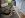 DSCN1714.JPG