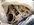 IMG_8736.jpeg