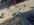 IMG_1139.jpeg