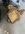 IMG_2149.jpeg