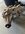 IMG_2150.jpeg