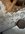 IMG_2152.jpeg