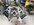 IMG_8742.jpeg