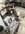IMG_8764.jpeg