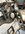 IMG_8763.jpeg