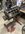 IMG_6270.jpeg