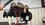 IMG_0678.jpeg
