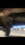 F9E0F553-A315-48EB-8005-25A59939FB3E.png