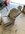 IMG_8769.jpeg